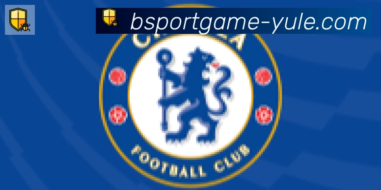 Bsports官网合作伙伴